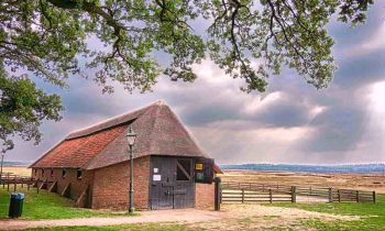 Schaapskooi Ginkelseheide